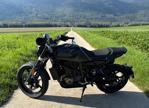 Husqvarna 701 Svartpilen 2019/